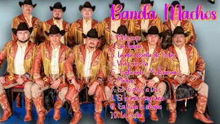 No Te Aguantes-Banda Machos-All-time favorites of 2024-State-of-the-art