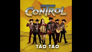 CONTROL - TAO TAO