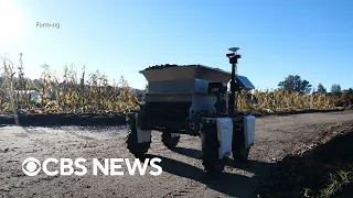 How AI powered robots are helping small farms fight labor shortages