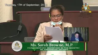 Budget 2020 debate presentation by PPP/C MP Sarah Browne September 17th 2020