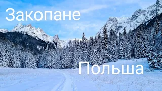 Польское Село.Заблудилась и пошли не по той дороге.Обзор жилья в ЗАКОПАНЕ@travellive8 #TRAVEL