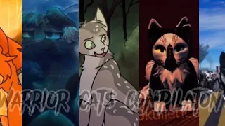 Warrior cats TikTok compilation // #2