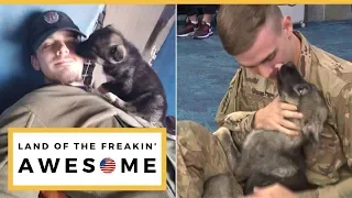 Soldier Reunited With Syrian Puppy Adopted After Deployment