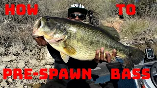 How To Catch Big Bass In Pre-Spawn Using Big Swimbaits And Crankbaits!