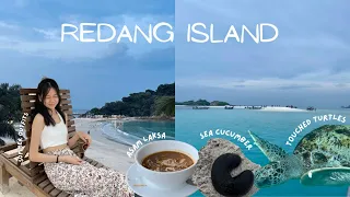 Redang Island Travel Vlog | touching turtles | catching wild sea cucumber | snorkeling