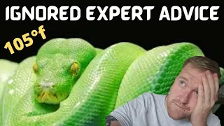 Green Tree Python EXPERT Advice IGNORED And It Worked