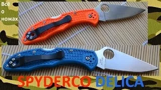 SPYDERCO DELICA обзор ножа