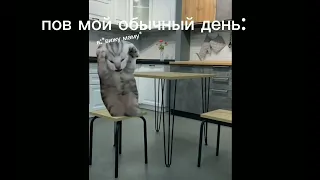 ПОВ МОЙ ОБЫЧНЫЙ ДЕНЬ: