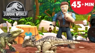 The Lost Baby Dino | Jurassic World | Kids Action Show | Dinosaur Cartoons