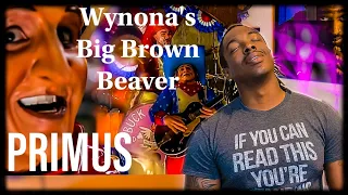 First time hearing Primus- "Wynona's Big Brown Beaver" *REACTION*