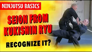 NINJUTSU BASICS | SEION from KUKISHIN RYU (recognize it?!)