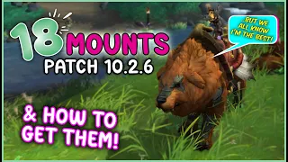 How to Get ALL Mounts & TAIVAN From Patch 10.2.6 and Season 4 WoW