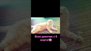 Всех девочек поздравляем с 8 марта!🌸