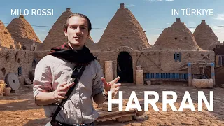 Harran: Ruin and Rebirth in the Fertile Crescent