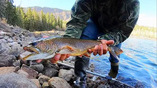 Catch & Cook!! Chasing BIG SPLAKE and TIGER TROUT on the Fly Rod!!