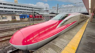 Riding the Japan's Bullet Train l KOMACHI Green Car 🚄 ☘️