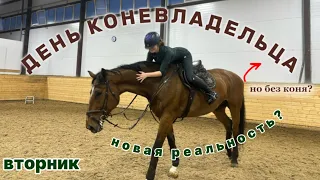 день коневладельца: вторник