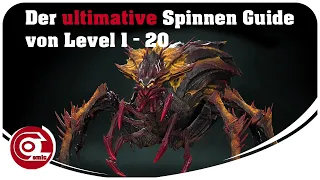 Der ultimative Spinnenguide | Spinnenhöhle 1-20 mit Teamkombis | RAID Shadow Legends | Ocomic