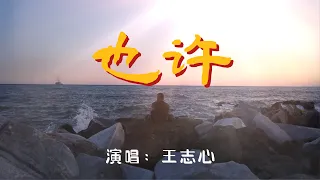 💖也许 - 王志心💖高音质动态歌词 Pinyin Lyrics 华语抖音神曲 新歌推荐👍The Now Moment