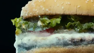 Burger King: Moldy Whopper (Cannes Advertising Festival 2021 Film) (Silver Lion)