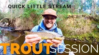 Quick Trout Session | TROUT Fishing Victoria