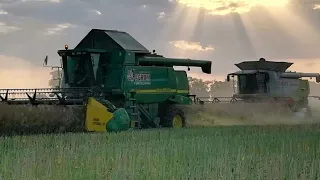 Żniwa Rzepaku 2018 w Top Farms Wielkopolska||5 Kombajnów|7xJohn Deere|2xNew Holland|Claas