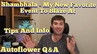 Shambhala Tips And Info, Updates and Autoflower Q&A