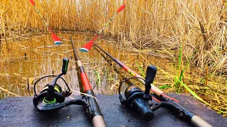 Зробив нове місце і наловив 🐟🐟🐟 Рибалка 🎣 на поплавок на удочки в 🌾🌾🌾