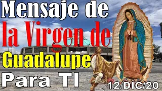 Mensaje de la Virgen de Guadalupe para ti