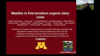 Mastitis in First-lactation Organic Dairy Cows
