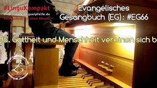 Jesus ist kommen, Grund ewiger Freude • #LinguKompakt • #EG66