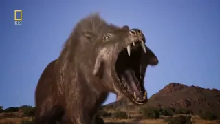 Killer Pig Entelodon (Daeodon) vs Hyaenodon | Prehistoric Predators Episode 6