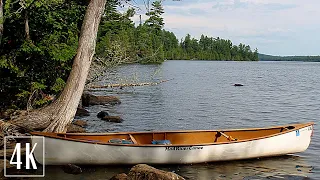 4K River Canoeing - Birds Singing - Water Sounds - Paddling a Canoe Relaxing Nature Video - NO LOOP