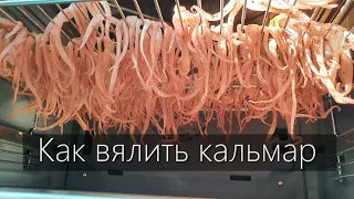 Как завялить щупальца и тело кальмара