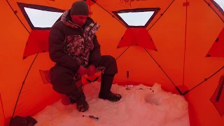 ЗА НАЛИМОМ / Winter fishing For Burbot