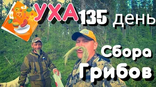 ВАРИМ УХУ СОБИРАЕМ ГРИБЫ 135 ДНЕЙ И ЛОВИМ ЩУКУ НА СПИННИНГ. #рыбалка