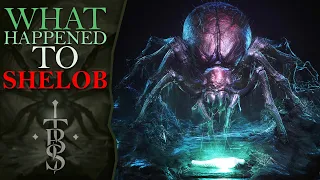 What Happened To SHELOB? | Middle Earth Lore