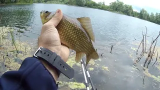 ХЕРАБУНА.Корейский стиль с нуля.