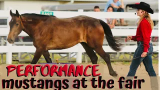 Meet the Mustangs | Liberty Performance and Mustang Demonstration