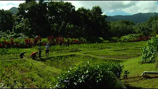 Two-Eyed Seeing: Science and Traditional Ecological Knowledge | California Academy of Sciences