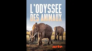 Одиссея животных / Animal Odyssey Серия 1 Путешествие слона / Le voyage de l'éléphant d'Afrique