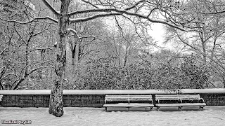 Beautiful winter classical music, Calm relaxing melodies - Mozart, Beethoven, Chopin, Bach.