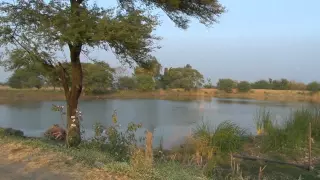 ITP Video: Jal Khet (Water Fields)