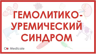 Гемолитико-уремический синдром: что такое, причины, патогенез, симптомы, принципы лечения