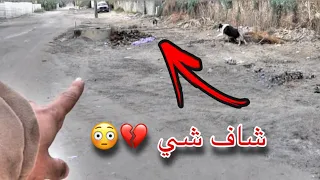 جاك هرب مني !! ولحق الكلبه الجديده 😓💔