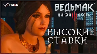 Ведьмак 3 "Высокие ставки" ● Где найти золото? ● Прохождение миссии