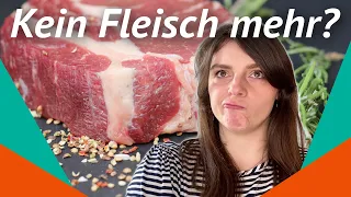 Kein Fleisch für die Welt? – Hilft weniger Fleisch essen gegen Hungersnöte?