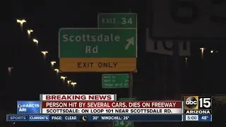 Person hit on freeway dies after being struck several times