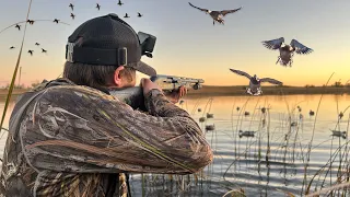 Ducks Beware... Hunters Are After You!