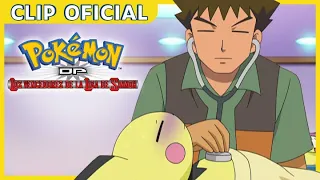 ¡Pokémon malitos! | Pokémon Diamante y Perla: Los vencedores de la Liga de Sinnoh | Clip oficial